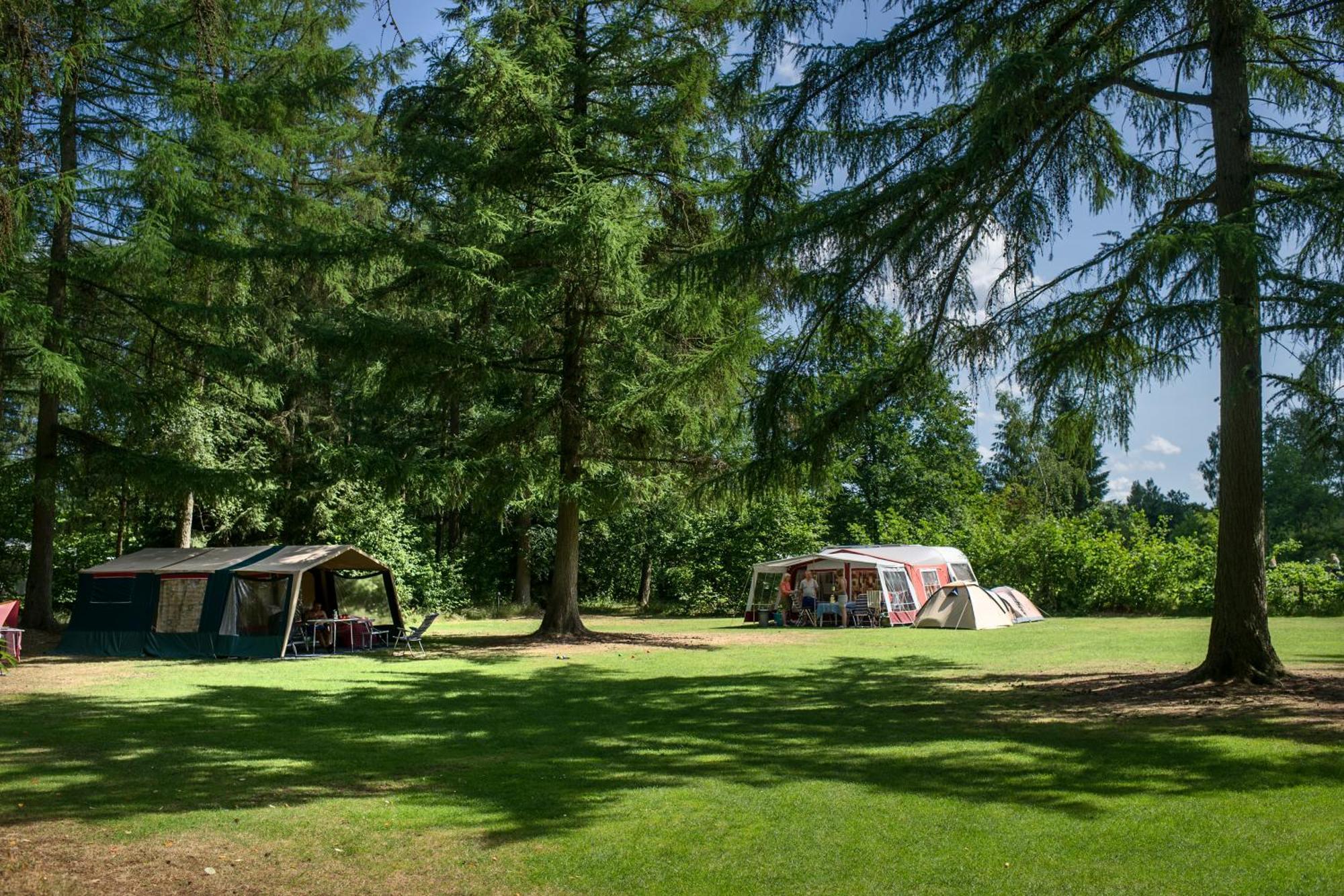 Rcn Vakantiepark De Roggeberg Appelscha Exteriér fotografie