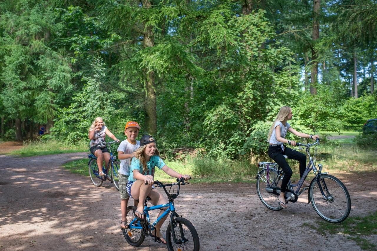 Rcn Vakantiepark De Roggeberg Appelscha Exteriér fotografie